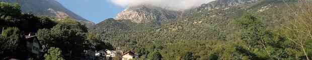 La Giornata internazionale delle foreste